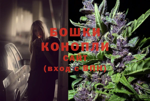 ПСИЛОЦИБИНОВЫЕ ГРИБЫ Вязьма